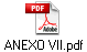 ANEXO VII.pdf
