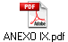 ANEXO IX.pdf